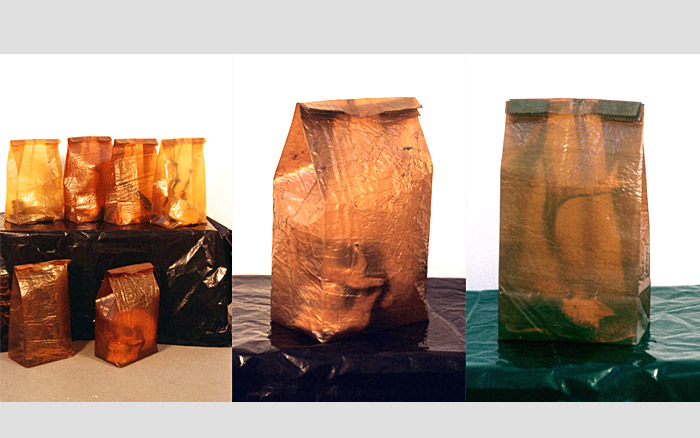 This Bag Returns to Mother Earth | Fungus bag, Human bag and Wild animal bag, 1998